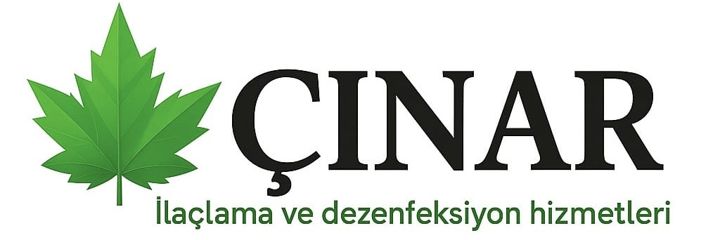 Çınar Böcek İlaçlama