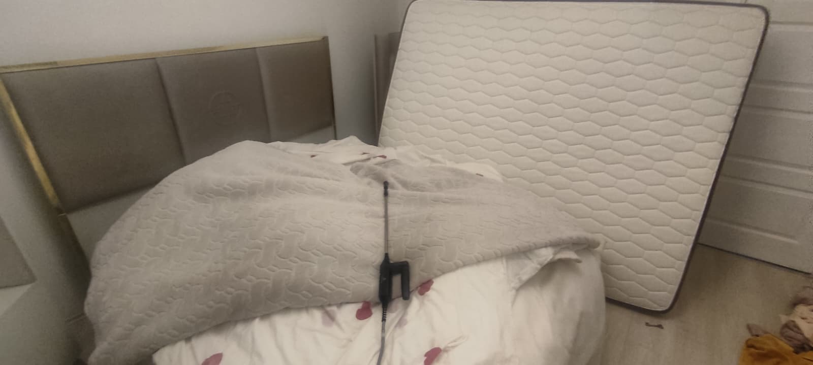 Kadıköy Böcek ilaçlama