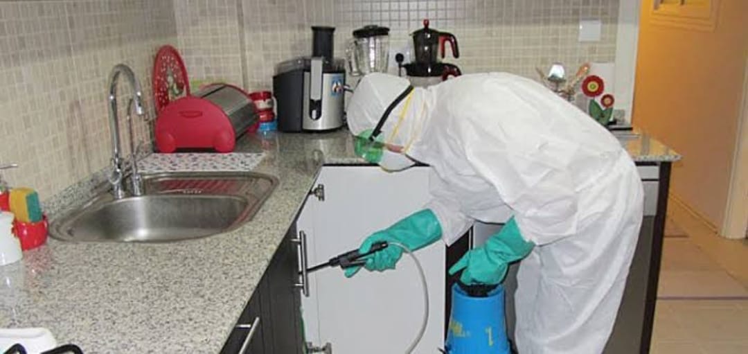 Büyükçekmece Böcek ilaçlama